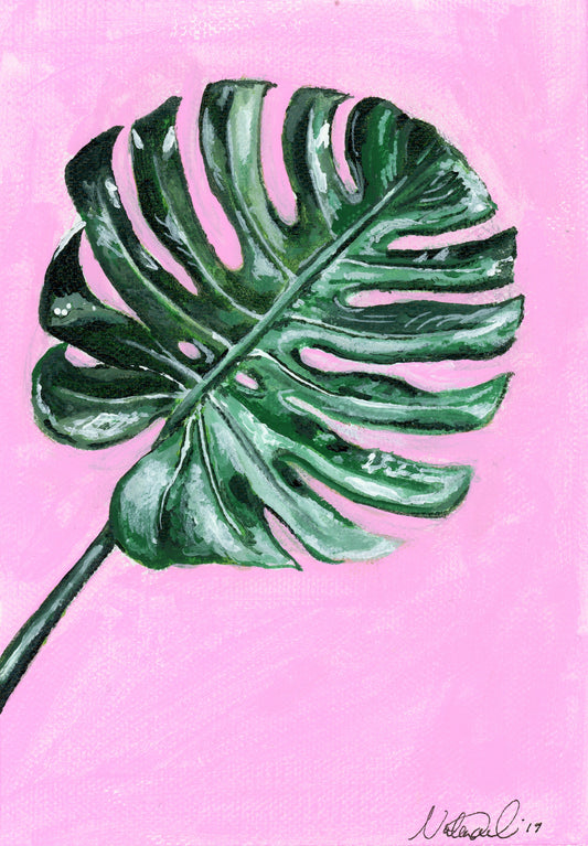 Plant series: Monstera