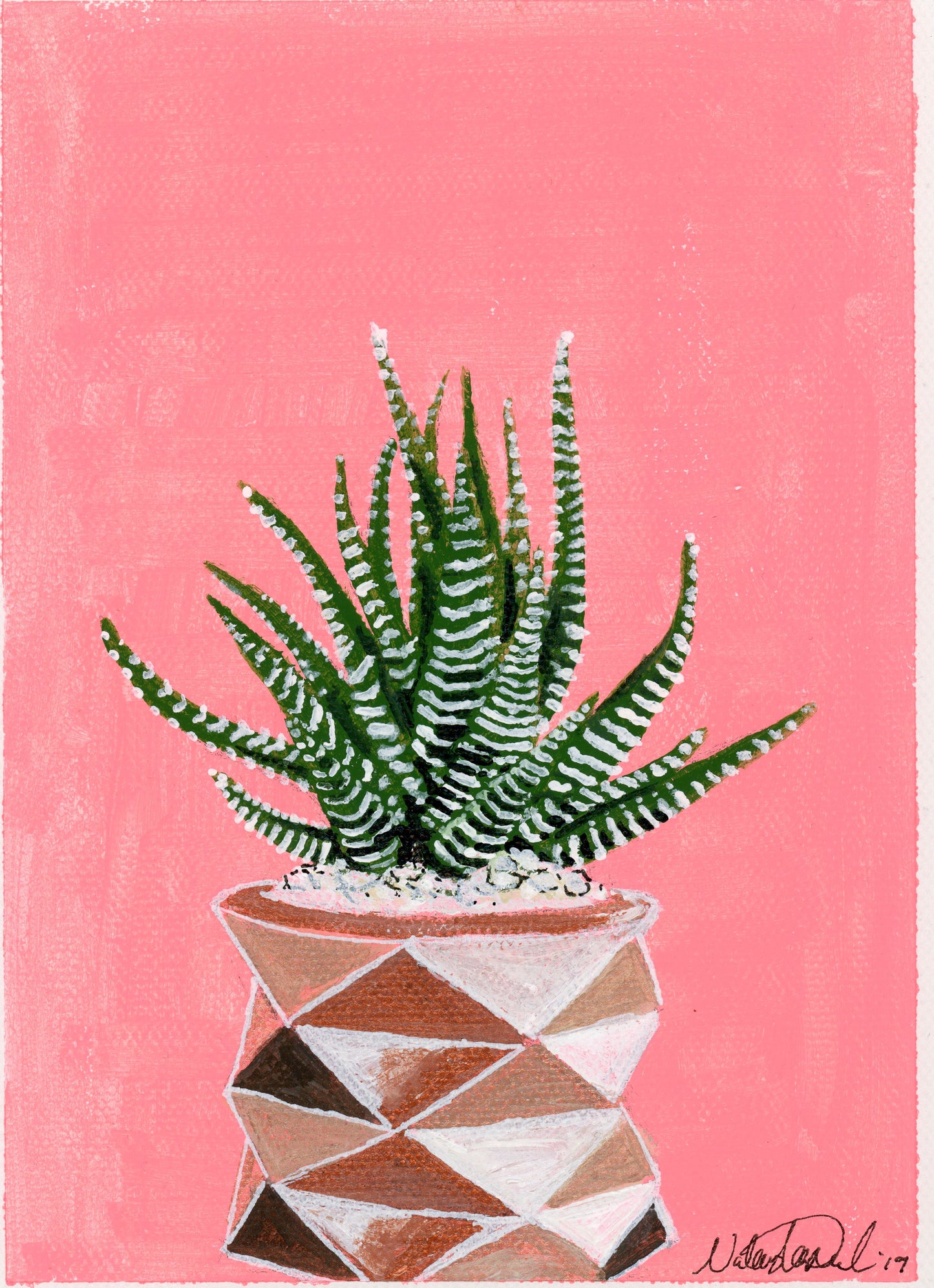 Plant Series: Succulent